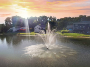 Fountain Pond Maintenance Benefits Beyond Decorative Water Displays