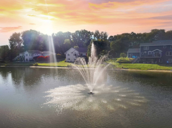 Fountain Pond Maintenance Benefits Beyond Decorative Water Displays